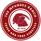 thempandes.com